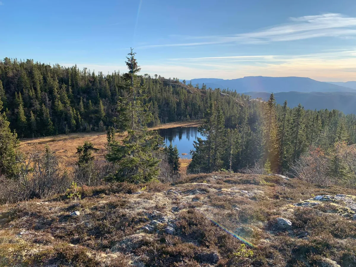 Tjønnar og vatn