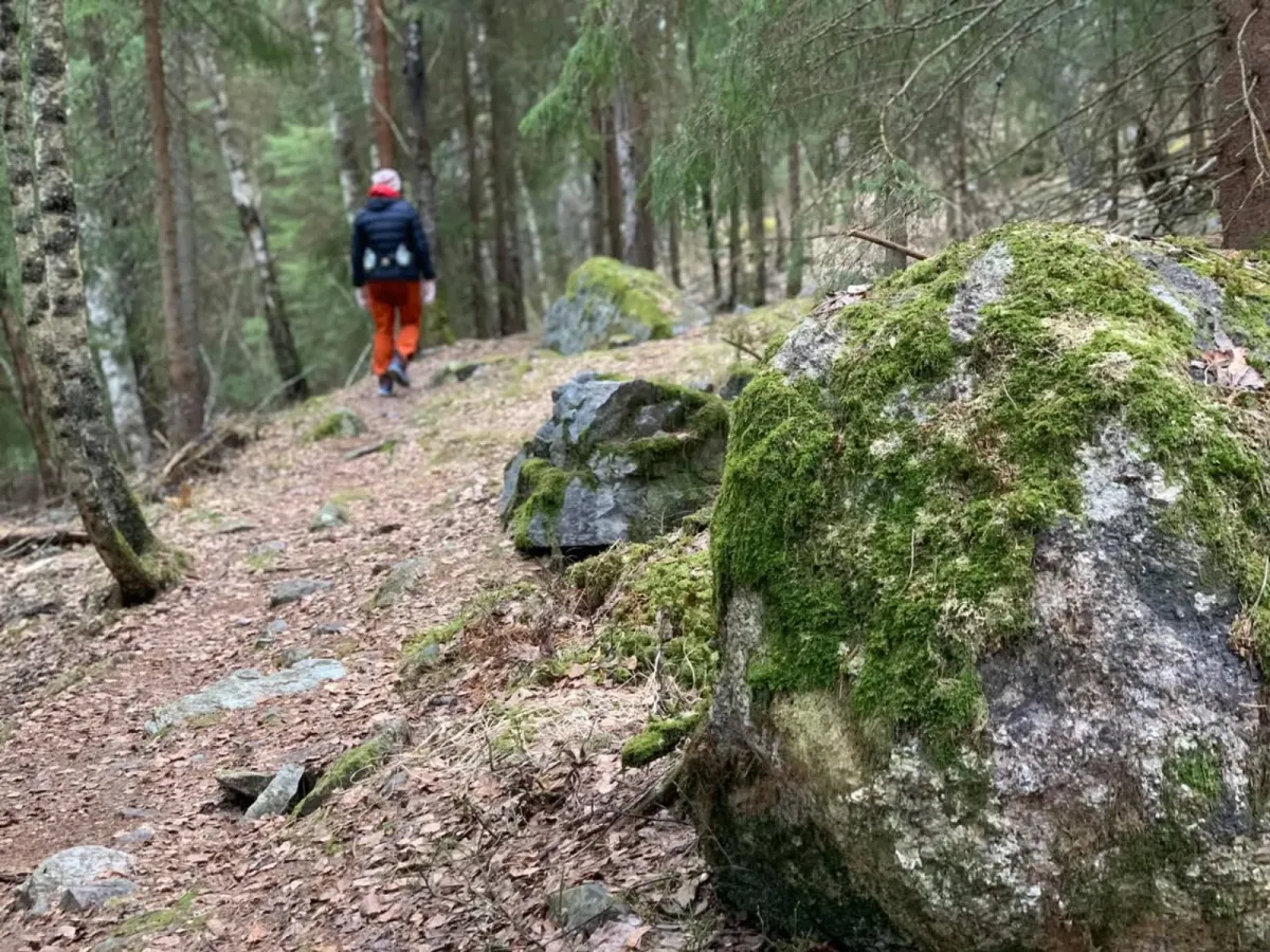Auf dem Nordabergstien, oben zwischen Gravshaugane und Runningenfeltet