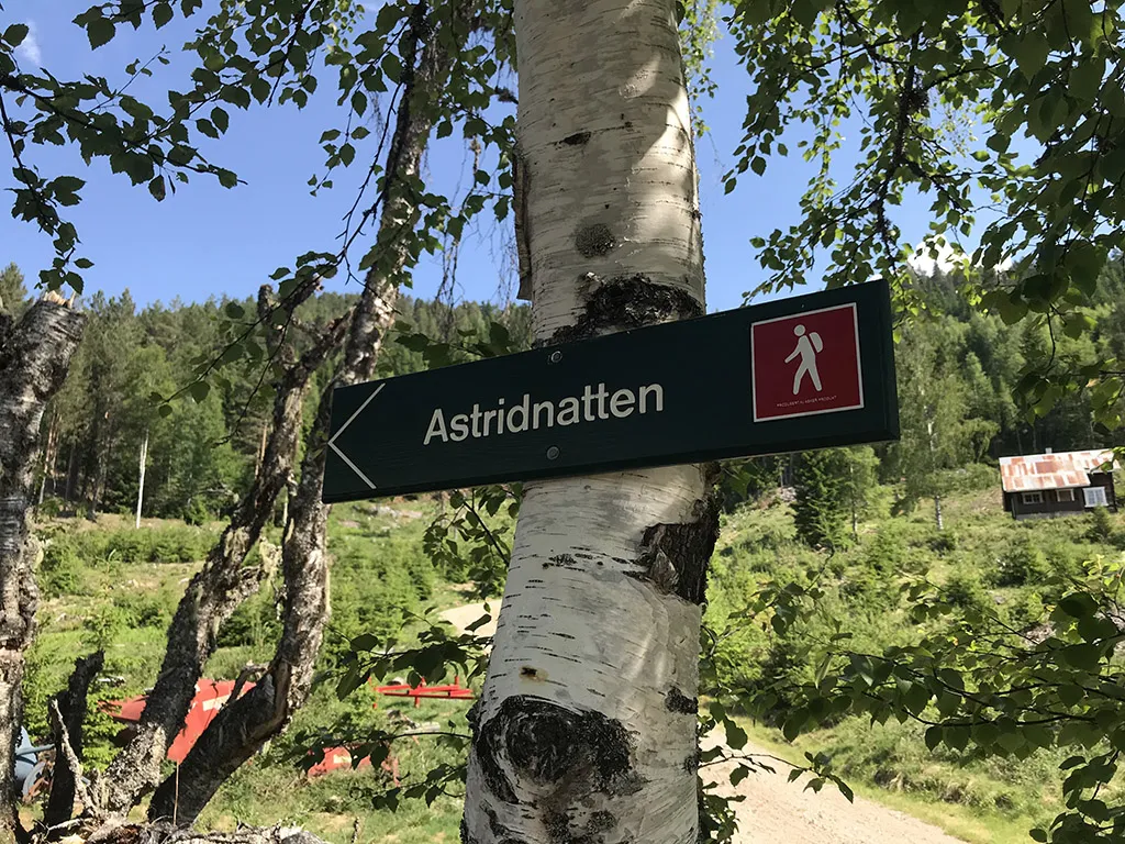 Veslestaul