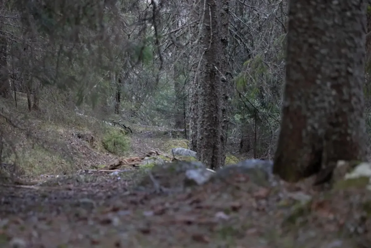 Krokan-klyvet