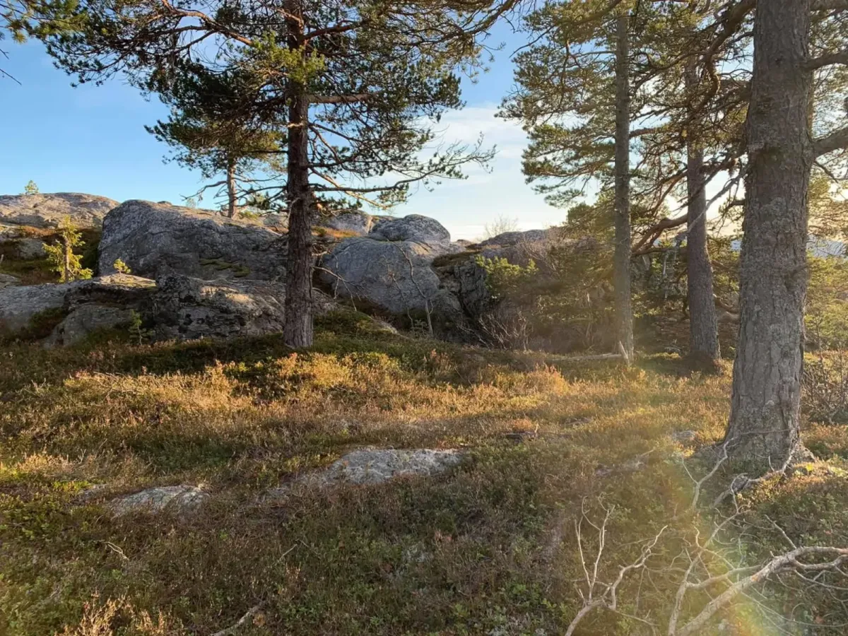 Mørkedalsnutane (874 moh)