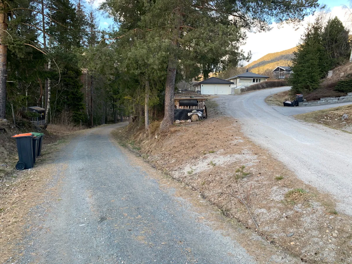 Bringsås