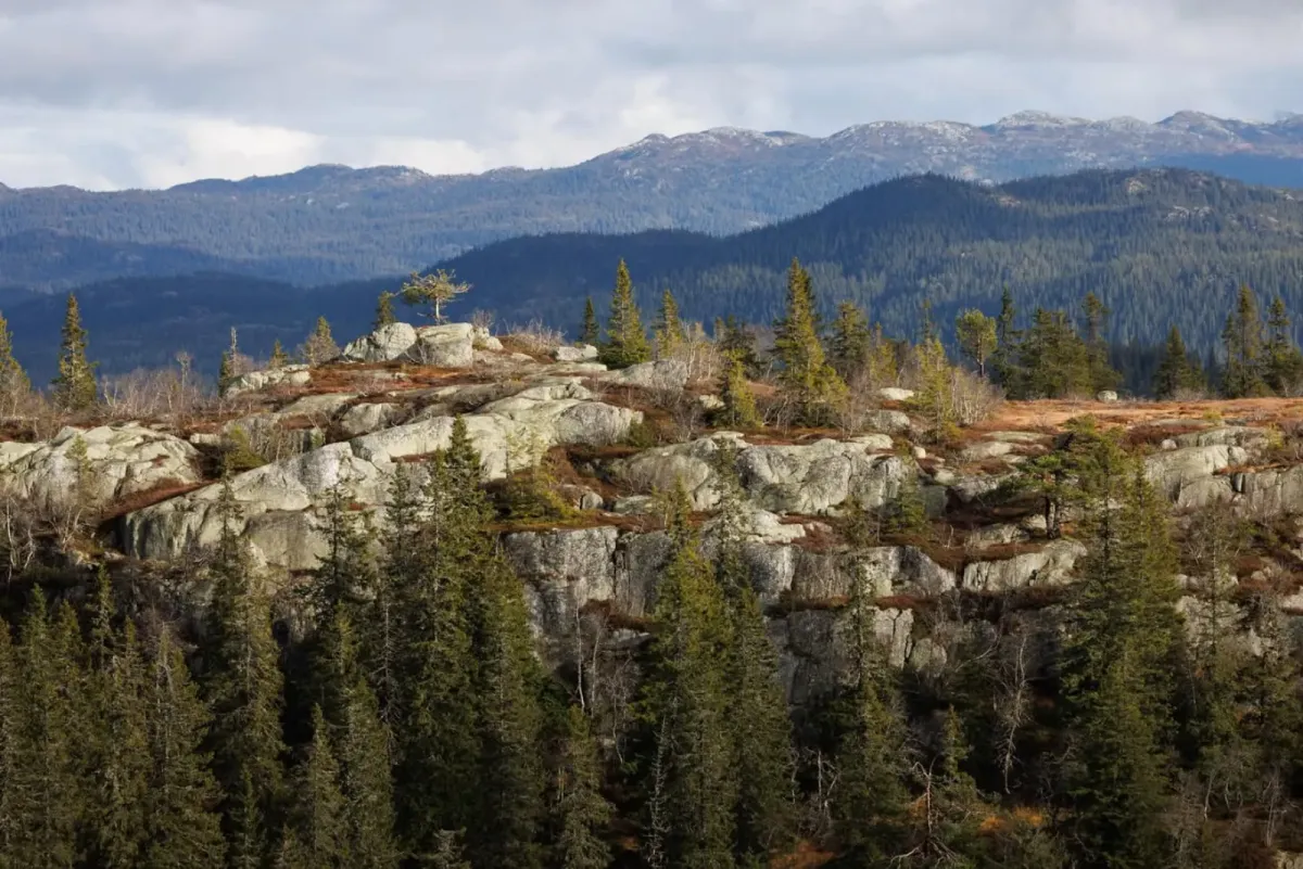 Eirefjell (1023 moh)