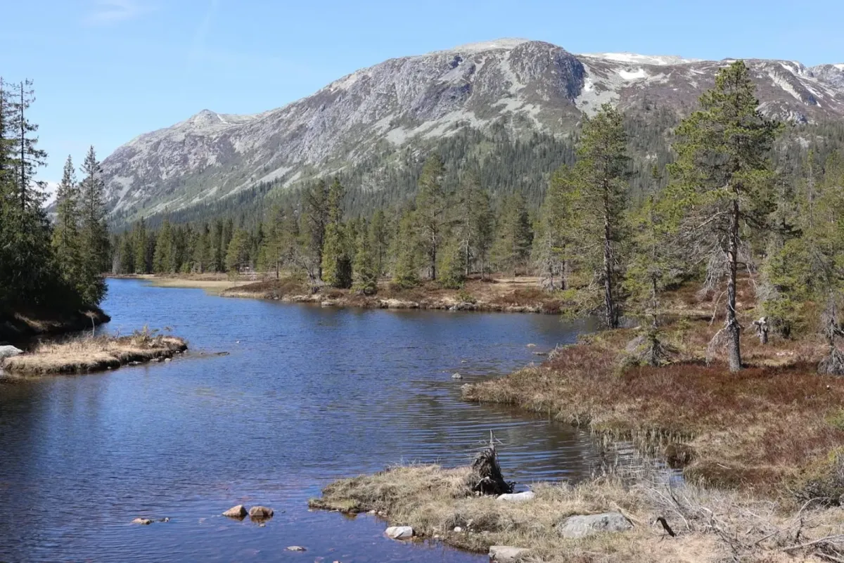 Slåkja - Wandern in der Wildnis