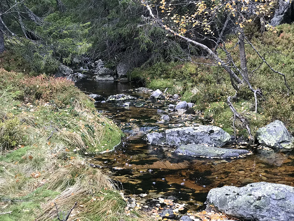 Skuggelifjell