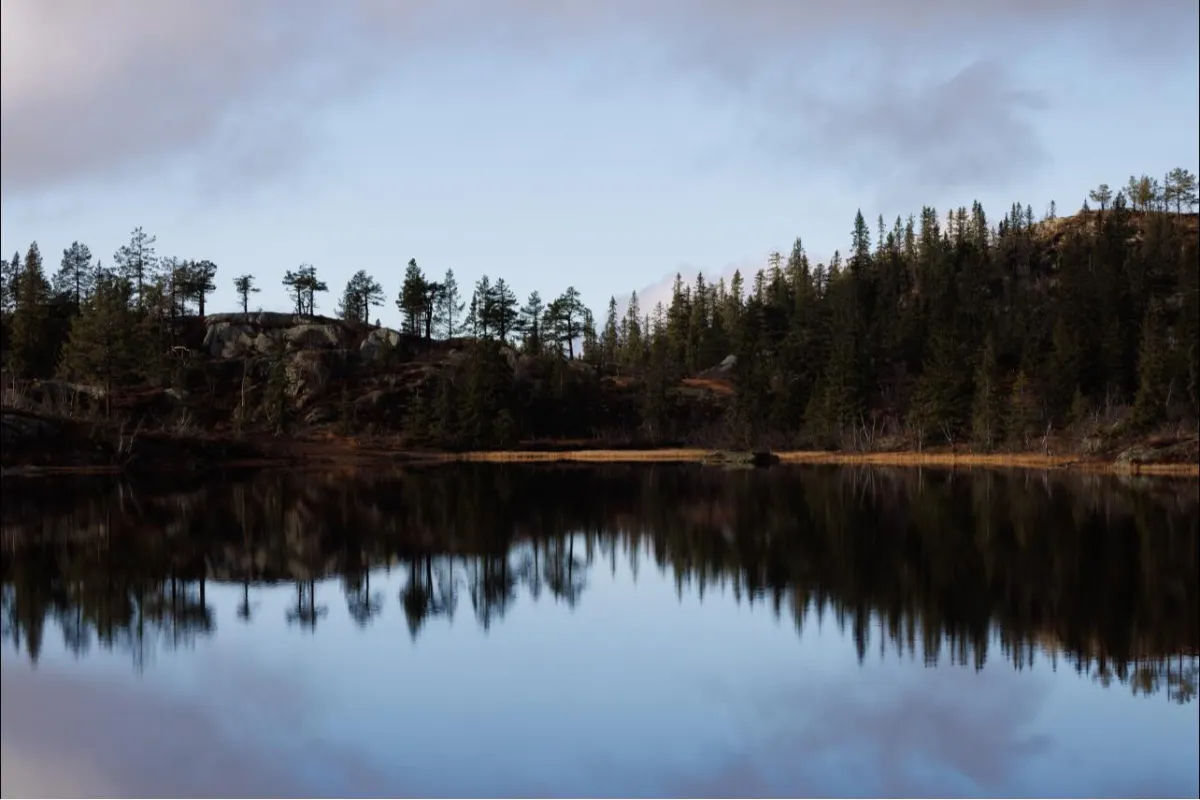 Heiane mot Eirefjell