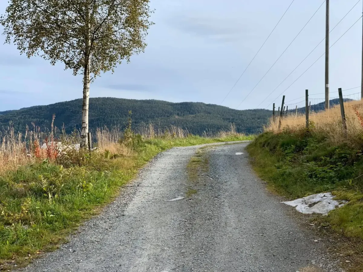 Åsheimgrendi - gjennom Åsheimgardane.