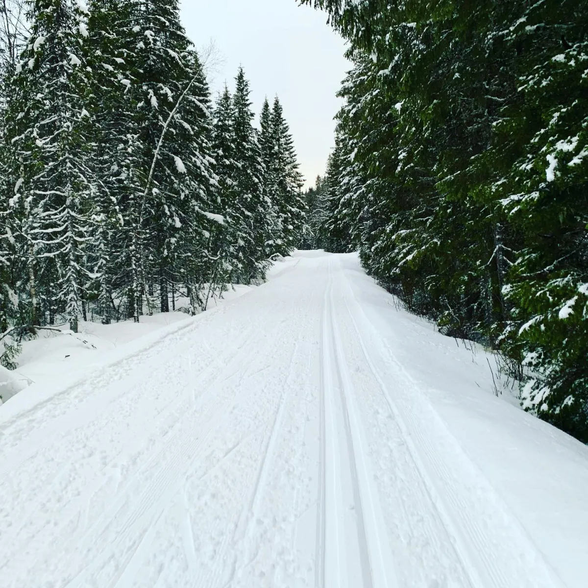 Kivledalen, Seljord - 12,4 km. Die Spitze von Lomma. Tolle Nahtour auf Skiern. Sehr schöne Loipen. Dank an ..