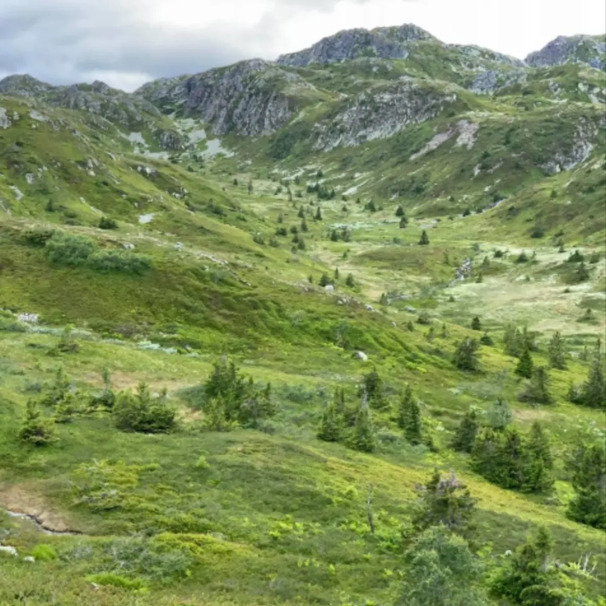 I morgon dreg me Langtur i Hestenutane, Nord-Skorve