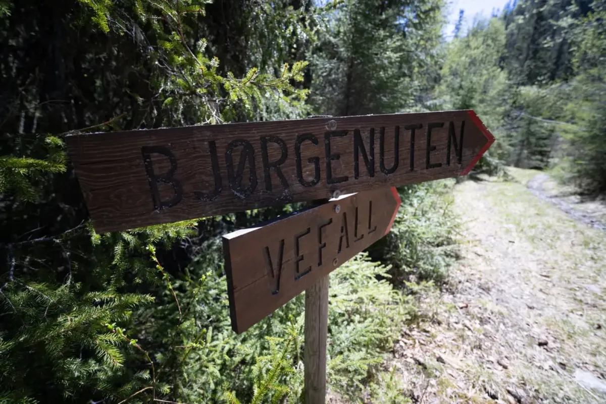 Bjørgefjell og Geitekyrkja