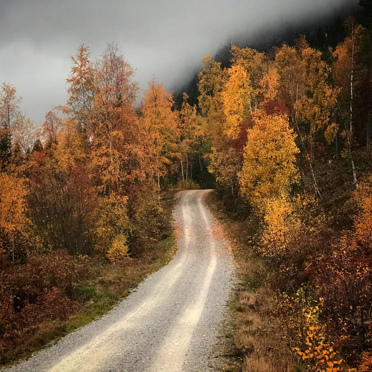 Venås vegen