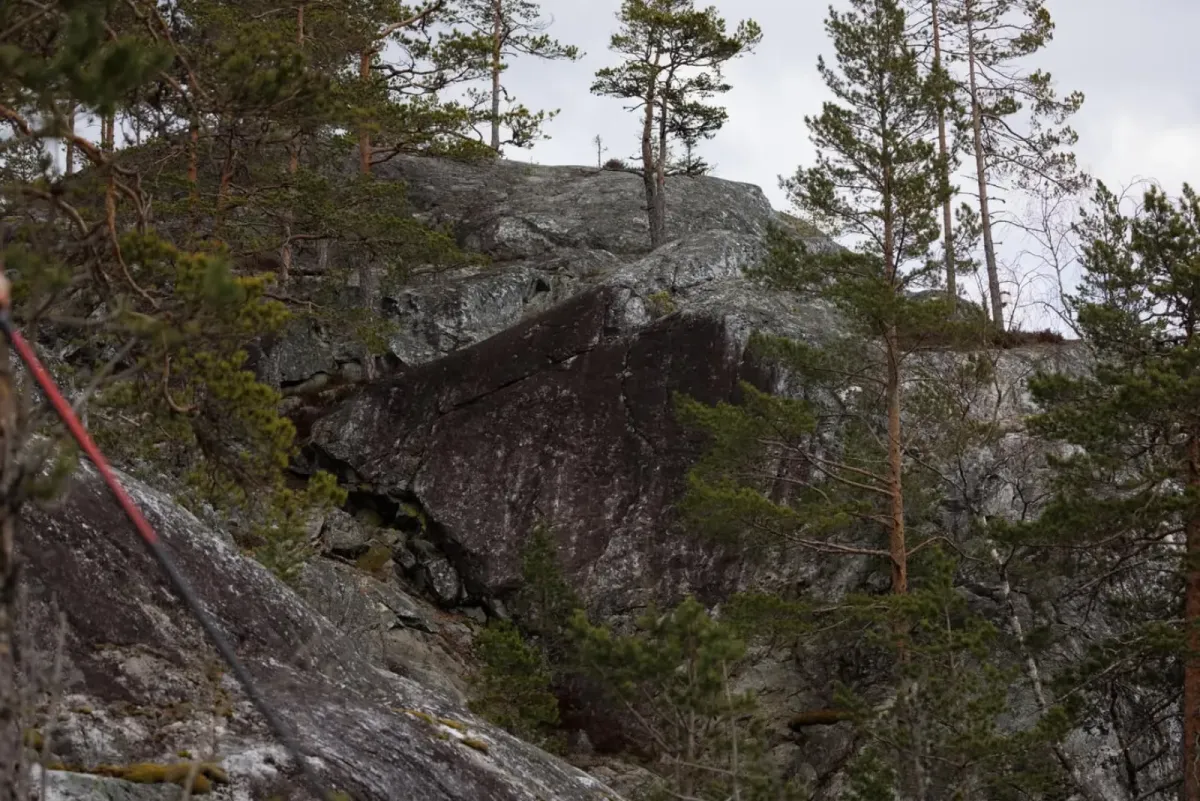 Høgås gjev utsikt