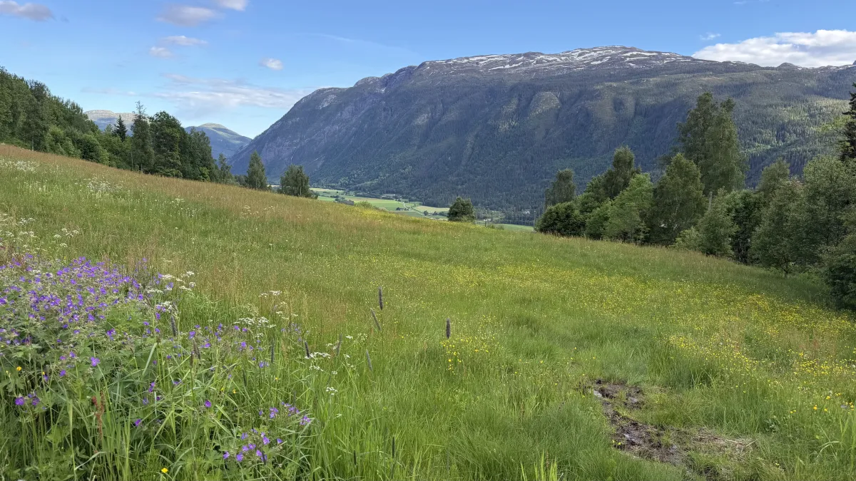 Flatdal mitt Flatdal