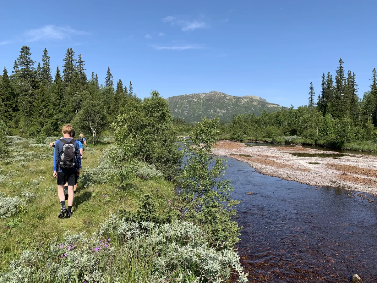 Brattefjell