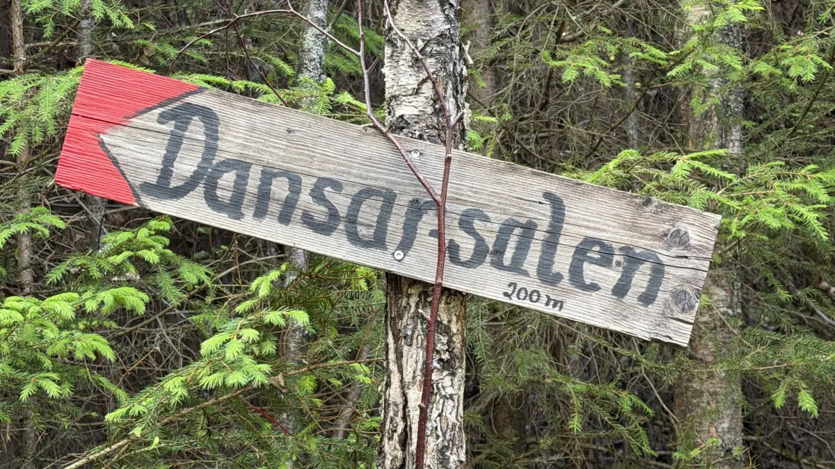 Dans på Dansarsalen