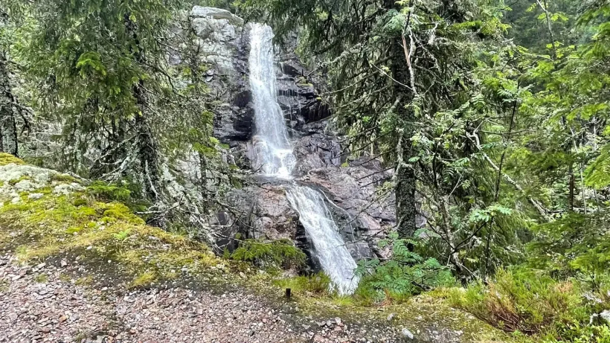 Hanakamjuvet