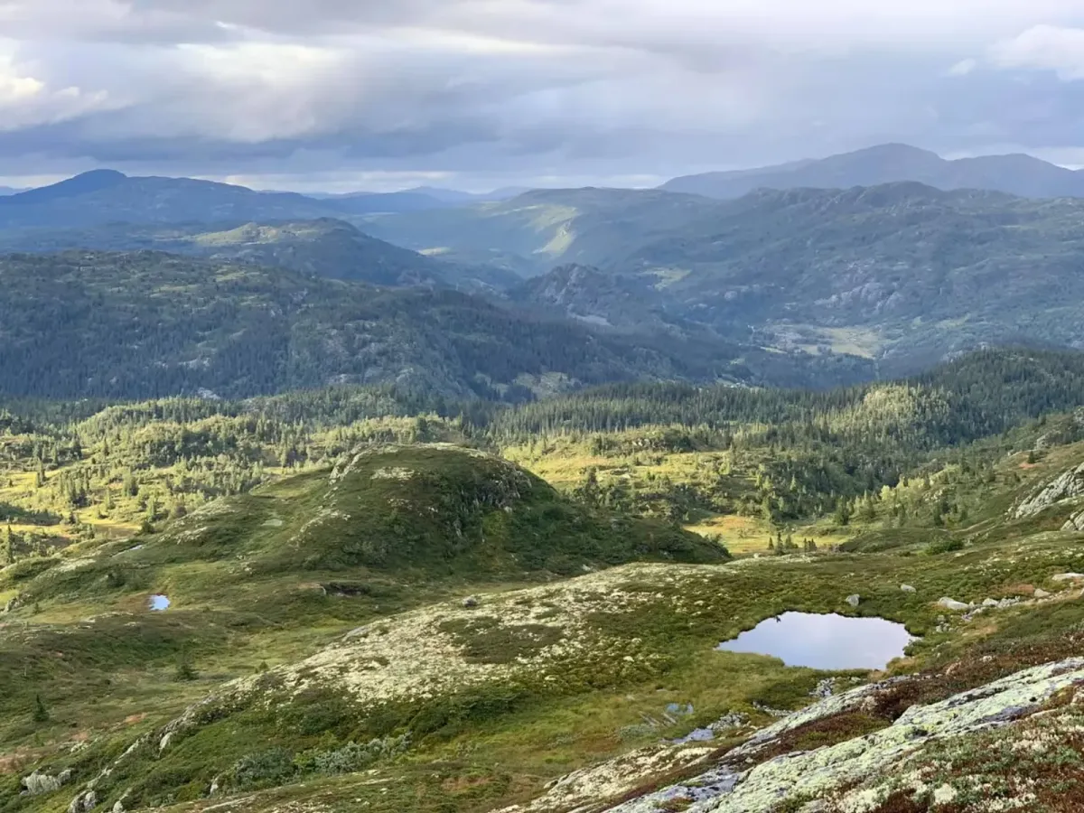 Rust (Brenderustfjell) 1166 moh, Langlim