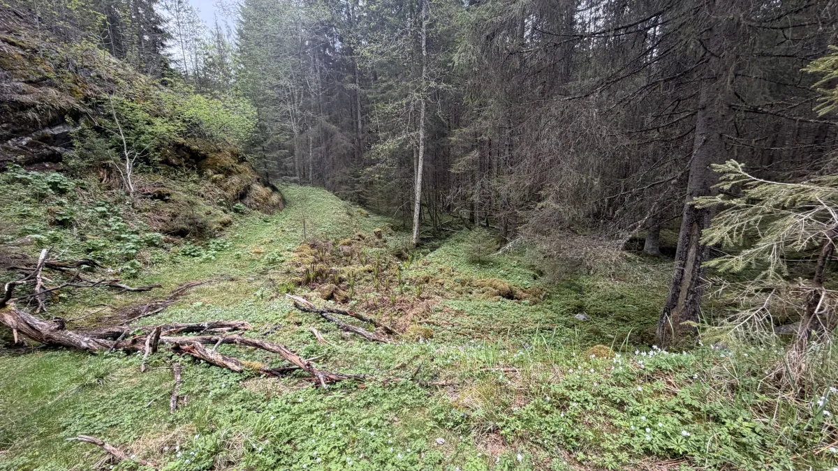 Neslandstjønn