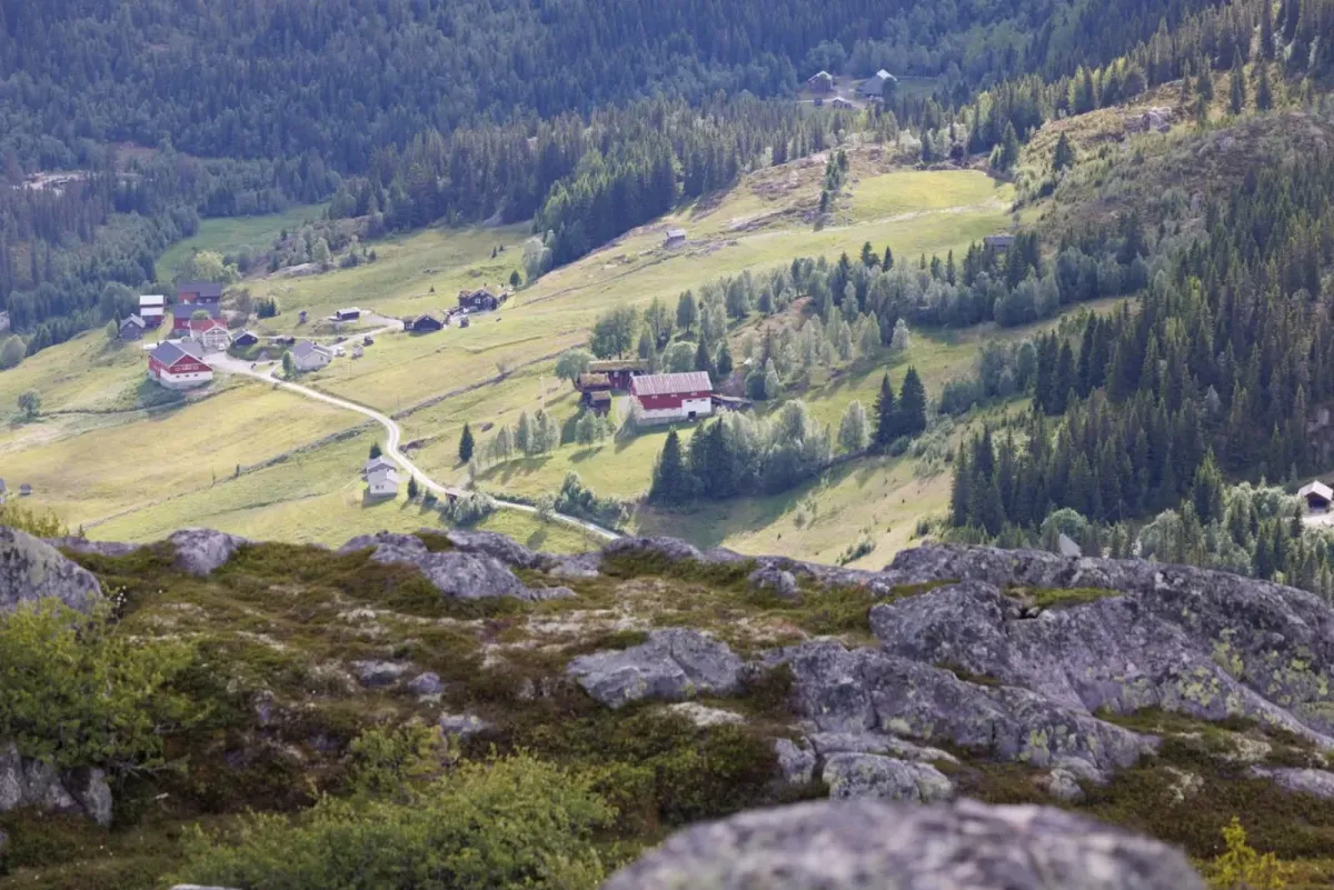Furufjell (994 mot) i Langlim