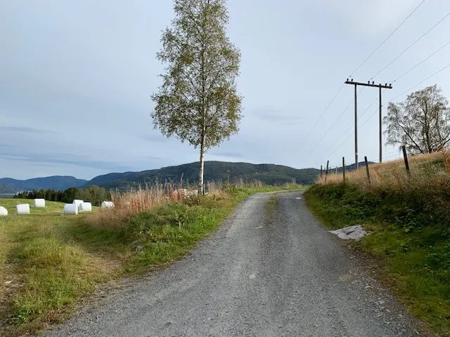 Starten fra Åsheimgrendi