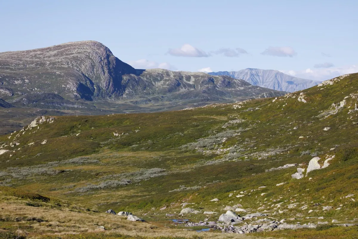 Vindeggen og Gaustatoppen