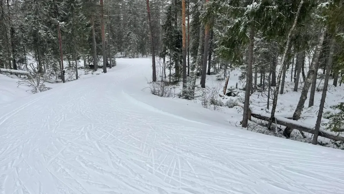 Raudkleiv skianelgg