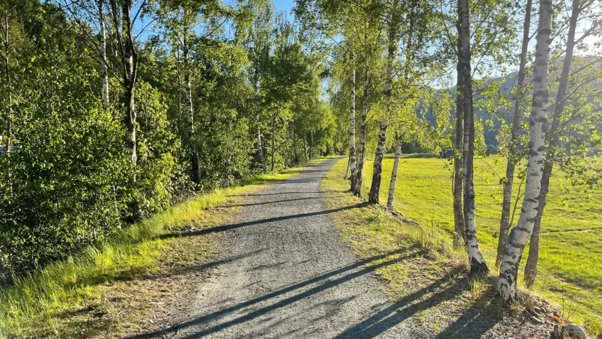 Moro med enkle og lette sentrumsturar