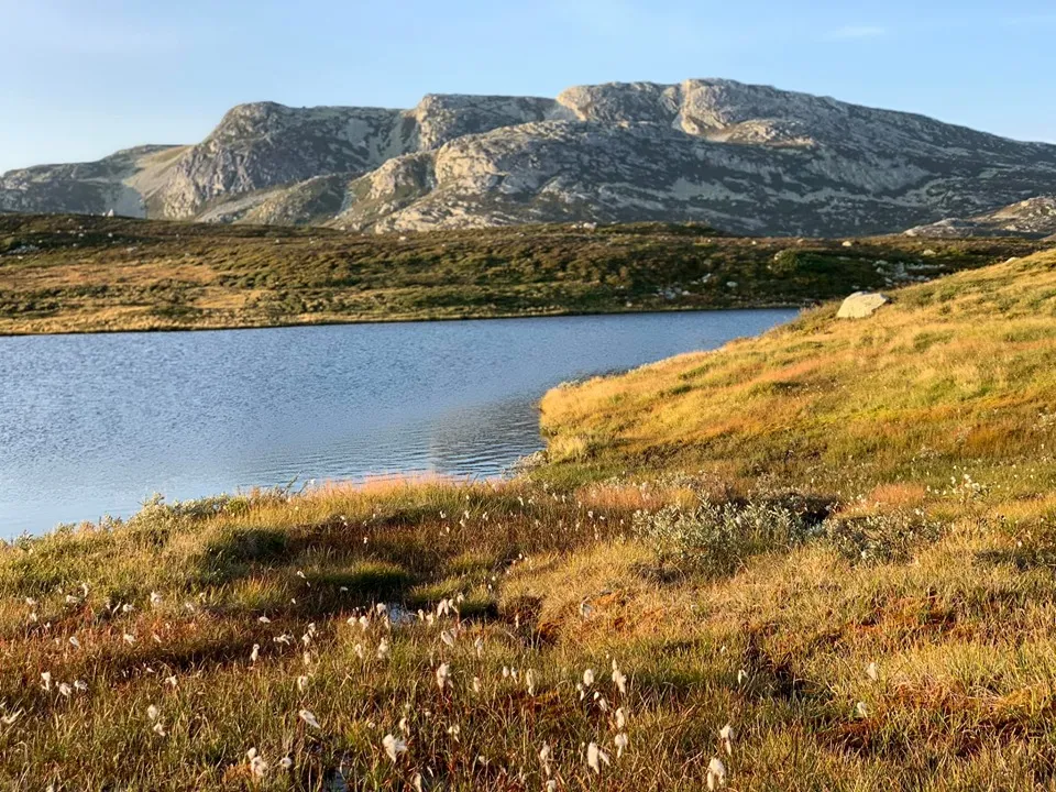 Røysdalsnuten
