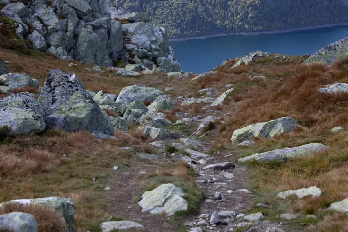 Flognutan og Lifjell (1314 moh)