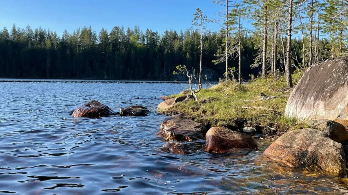 Langesjå i Åsgrend