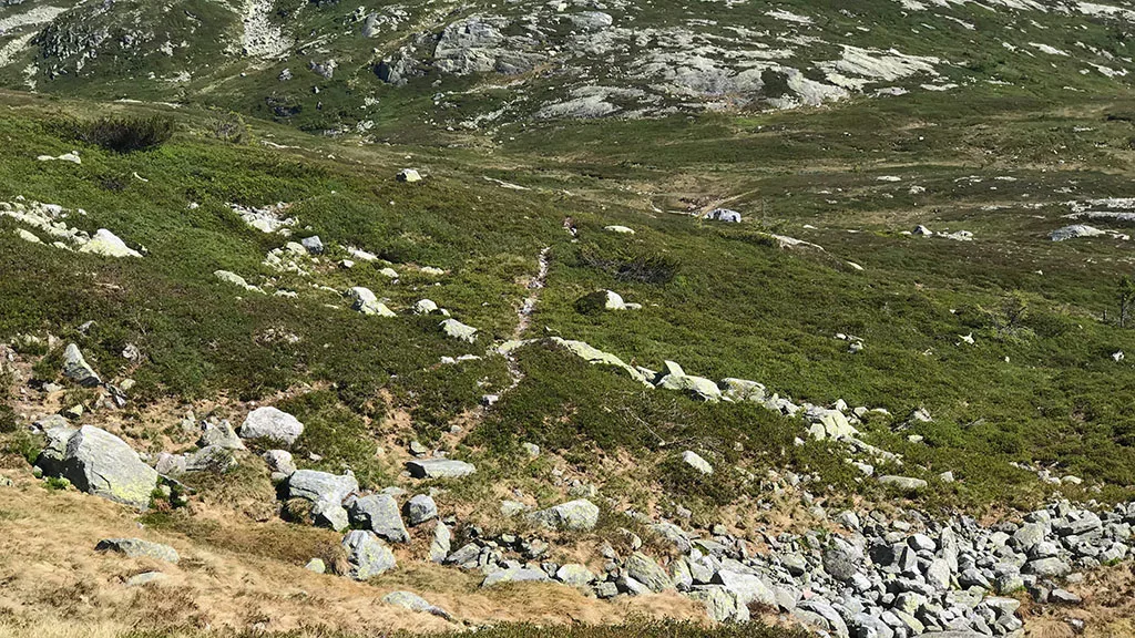 Udyr - Bjønn på Lifjell - Historie