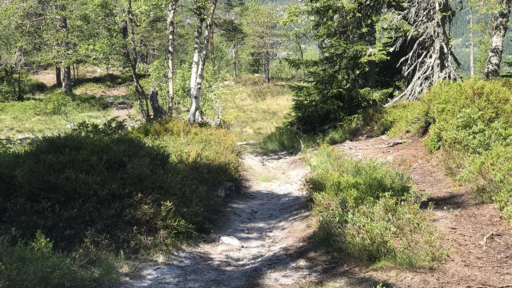 Fredarhaugen ved Slåkja på Lifjell